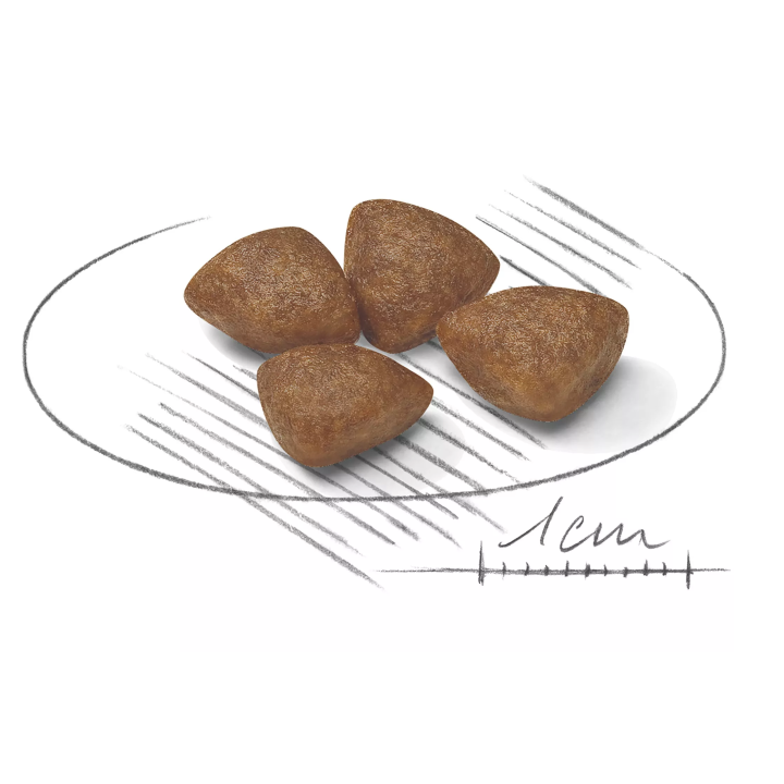 Замовити Mini Starter 1 кг Royal Canin | Знижка до 23% | Відправка з Києва по Україні