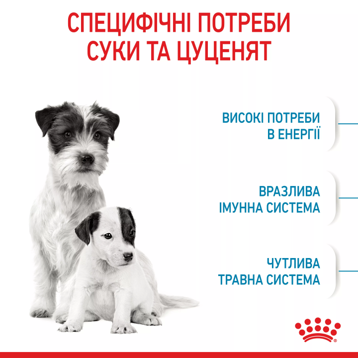 Замовити Mini Starter 1 кг Royal Canin | Знижка до 23% | Відправка з Києва по Україні