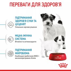 Mini Starter 1 кг | Royal Canin | Сухий Корм Для Собак