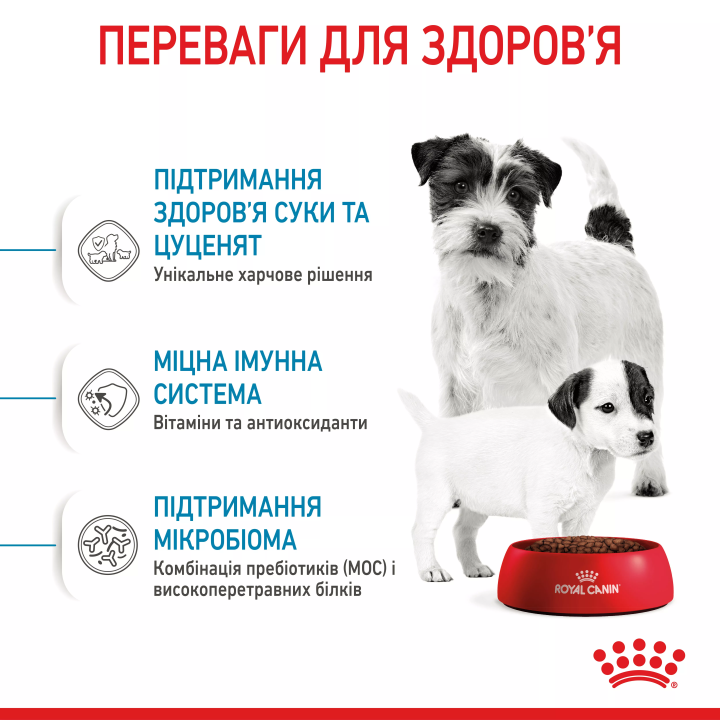 Замовити Mini Starter 1 кг Royal Canin | Знижка до 23% | Відправка з Києва по Україні