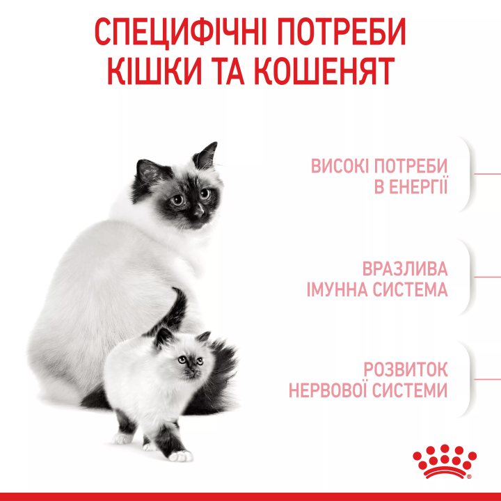 Замовити Mother & Babycat 0.4 кг Royal Canin | Знижка до 23% | Відправка з Києва по Україні