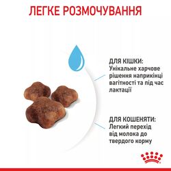 Замовити Mother & Babycat 2 кг Royal Canin | Знижка до 23% | Відправка з Києва по Україні