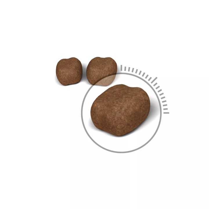 Замовити Dental Care 0.4 кг Royal Canin | Знижка до 23% | Відправка з Києва по Україні