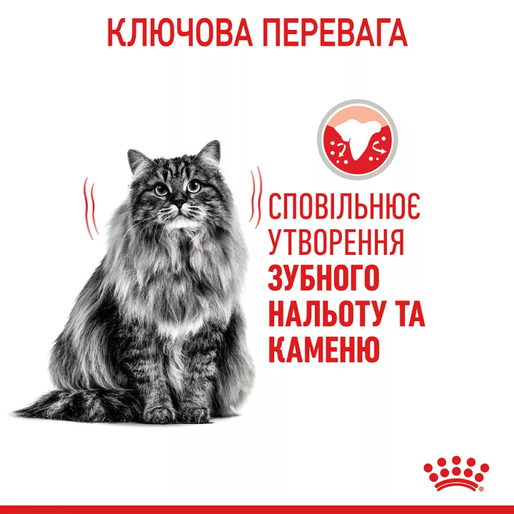 Замовити Dental Care 0.4 кг Royal Canin | Знижка до 23% | Відправка з Києва по Україні