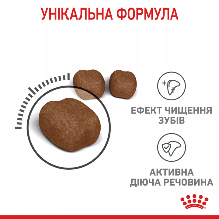 Замовити Dental Care 0.4 кг Royal Canin | Знижка до 23% | Відправка з Києва по Україні