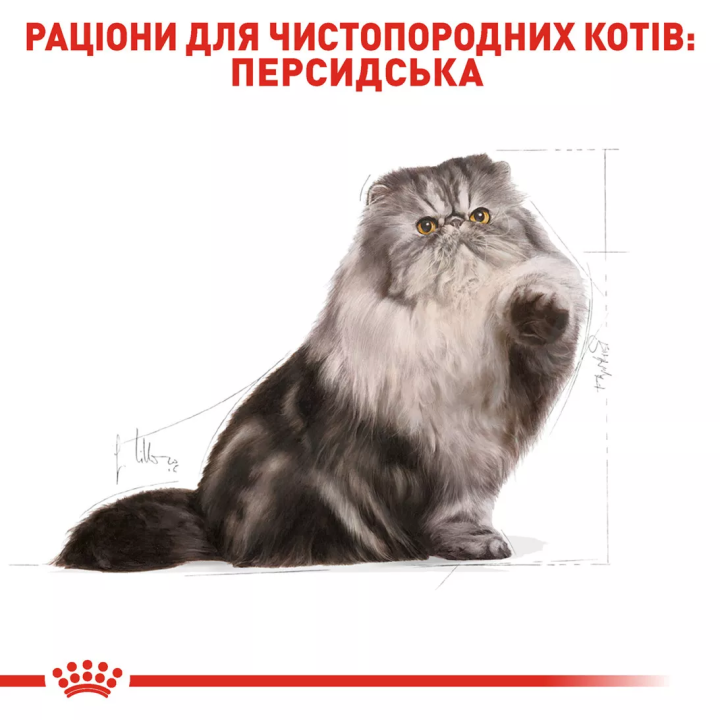Замовити Persian Adult 2 кг Royal Canin | Знижка до 23% | Відправка з Києва по Україні