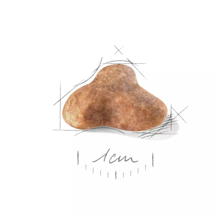 Замовити Pug Adult 1.5 кг Royal Canin | Знижка до 23% | Відправка з Києва по Україні