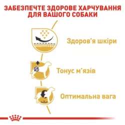 Повнораціонний корм для дорослих собак породи мопс віком від 10 місяців