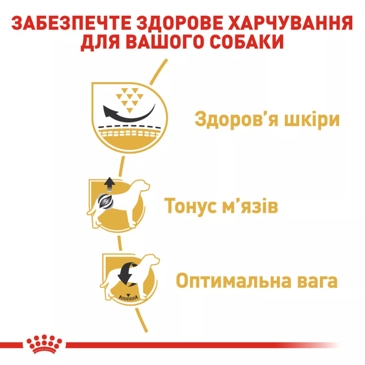 Замовити Pug Adult 3 кг Royal Canin | Знижка до 23% | Відправка з Києва по Україні