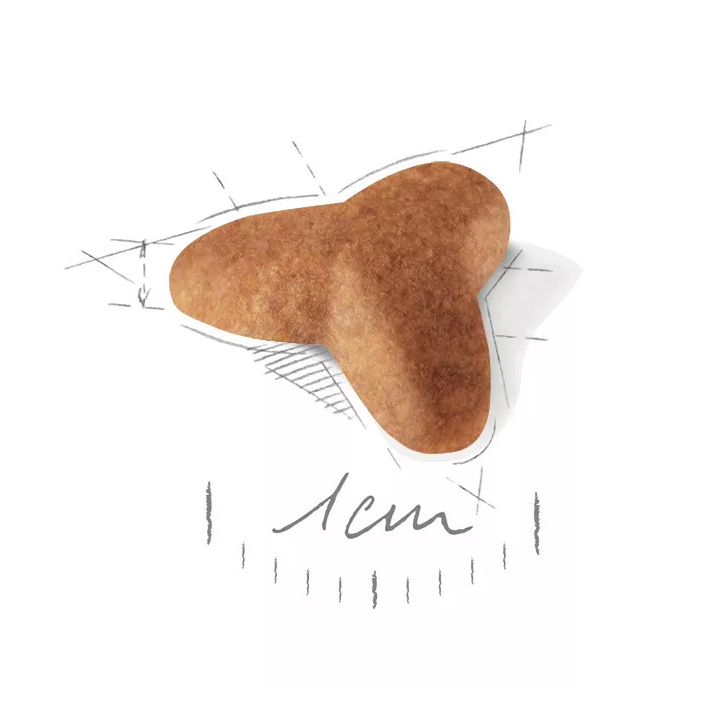 Замовити Pug Puppy 1.5 кг Royal Canin | Знижка до 23% | Відправка з Києва по Україні