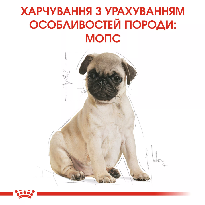 Замовити Pug Puppy 1.5 кг Royal Canin | Знижка до 23% | Відправка з Києва по Україні