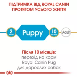 Pug Puppy 1.5 кг | Royal Canin | Сухий Корм Для Цуценят Породи Мопс