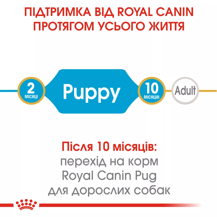 Замовити Pug Puppy 1.5 кг Royal Canin | Знижка до 23% | Відправка з Києва по Україні