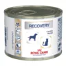 Recovery 0.195 кг | Royal Canin | Вологий Корм Для Собак І Котів При Анорексії Та Відновлюваному Періоді Після Терапії