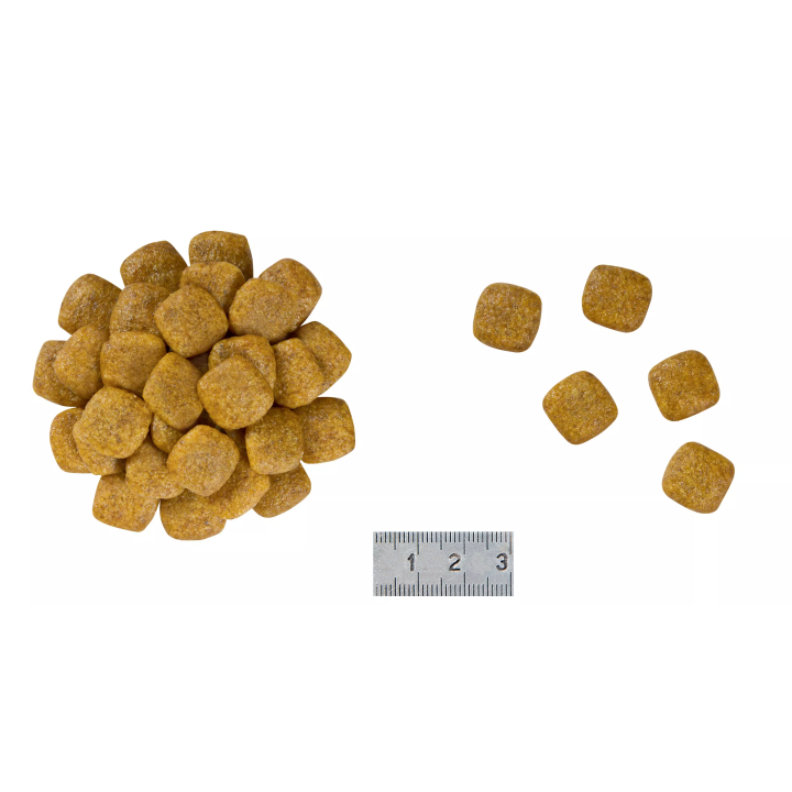 Замовити Renal Canine 2 кг Royal Canin | Знижка до 23% | Відправка з Києва по Україні