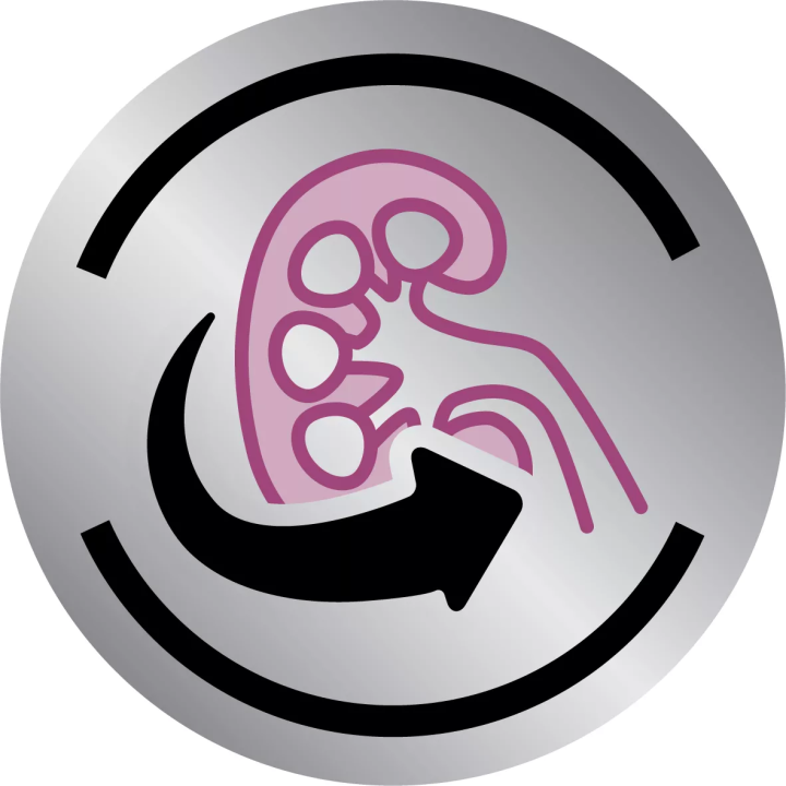 Замовити Renal Feline 2 кг Royal Canin | Знижка до 23% | Відправка з Києва по Україні