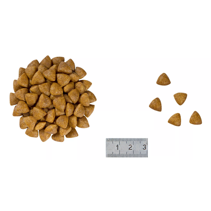 Замовити Renal Special 0.4 кг Royal Canin | Знижка до 23% | Відправка з Києва по Україні