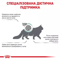 Satiety Weight Management Cat 1.5 кг | Royal Canin | Сухий Корм Для Котів Контроль Надлишкової Ваги