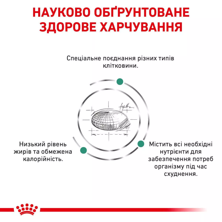 Замовити Satiety Weight Management Cat 3.5 кг Royal Canin | Знижка до 23% | Відправка з Києва по Україні