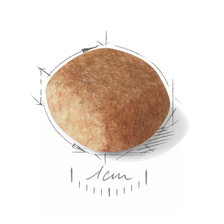 Замовити Schnauzer Adult 7.5 кг Royal Canin | Знижка до 23% | Відправка з Києва по Україні