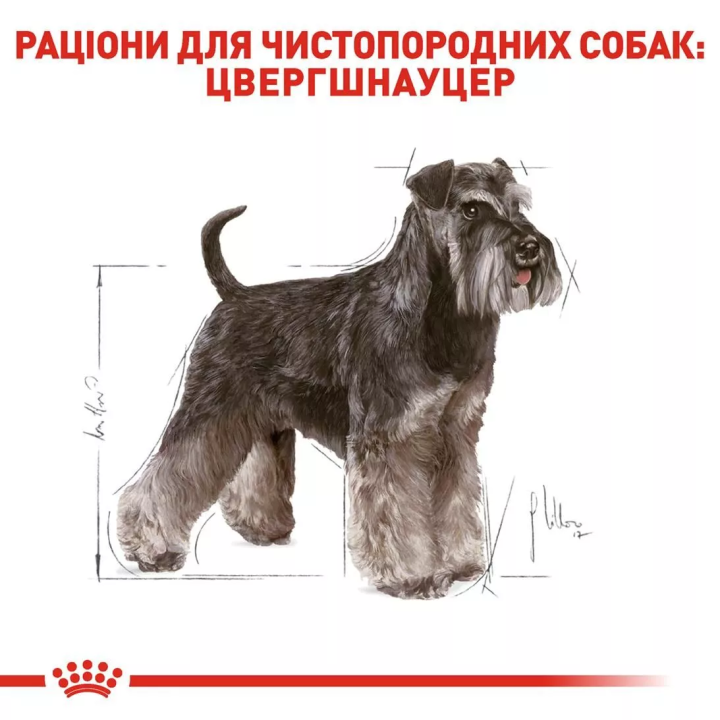 Замовити Schnauzer Adult 7.5 кг Royal Canin | Знижка до 23% | Відправка з Києва по Україні
