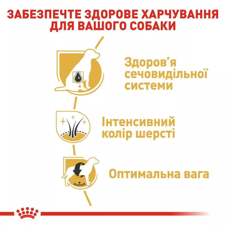 Замовити Schnauzer Adult 7.5 кг Royal Canin | Знижка до 23% | Відправка з Києва по Україні