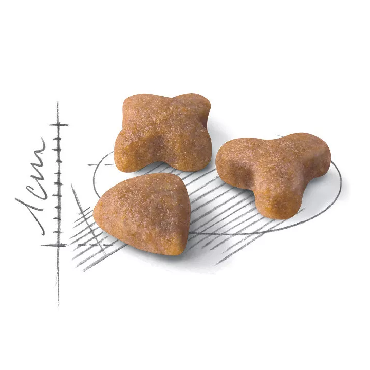 Замовити Sensible 33 (2 кг) Royal Canin | Знижка до 23% | Відправка з Києва по Україні