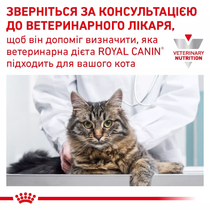 Замовити Sensitivity Control Chicken Cat Pouches 0.085 кг Royal Canin | Знижка до 23% | Відправка з Києва по Україні