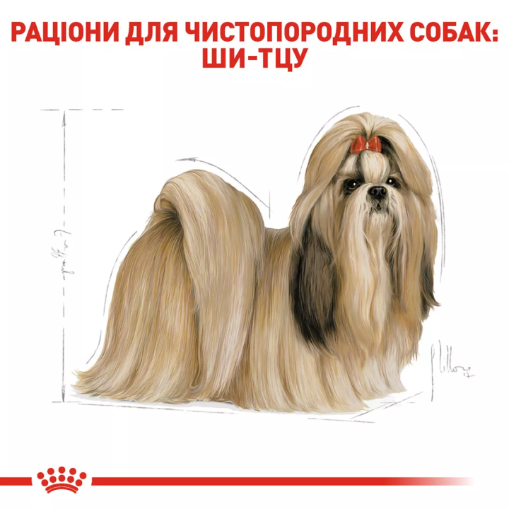 Замовити Shih Tzu Adult 1.5 кг Royal Canin | Знижка до 23% | Відправка з Києва по Україні