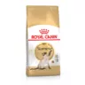 Siamese Adult 0.4 кг | Royal Canin | Сухий Корм Для Дорослих Котів