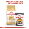 Royal Canin Sphynx 10 кг - Купити корм для сфінкса