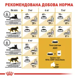 Royal Canin Sphynx 10 кг - Купити корм для сфінкса