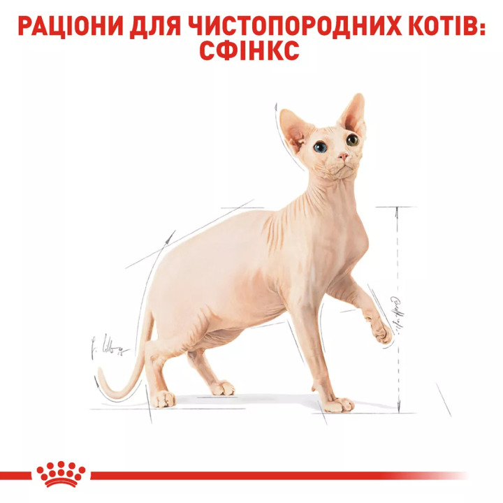 Royal Canin Sphynx 10 кг - Купити корм для сфінкса