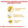 Royal Canin Sphynx 2 кг - Корм для котів сфінкс