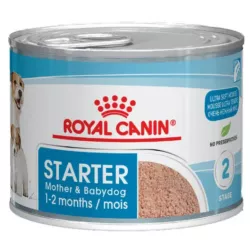 Royal Canin Starter Mousse Mother & Babydog корм
