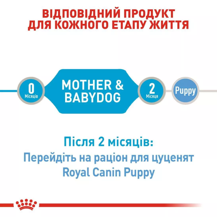 Замовити Starter Mousse 0.195 кг Royal Canin | Знижка до 23% | Відправка з Києва по Україні
