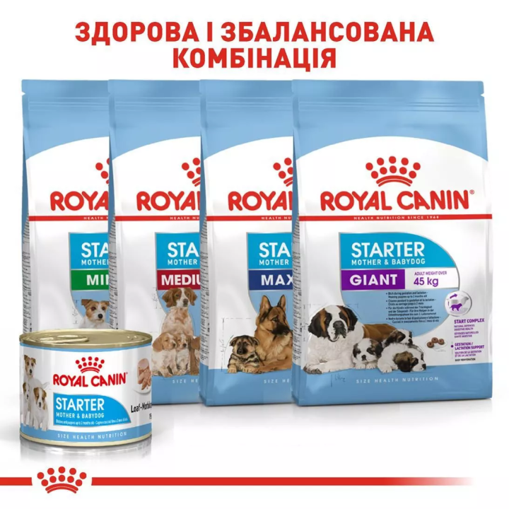 Замовити Starter Mousse 0.195 кг Royal Canin | Знижка до 23% | Відправка з Києва по Україні
