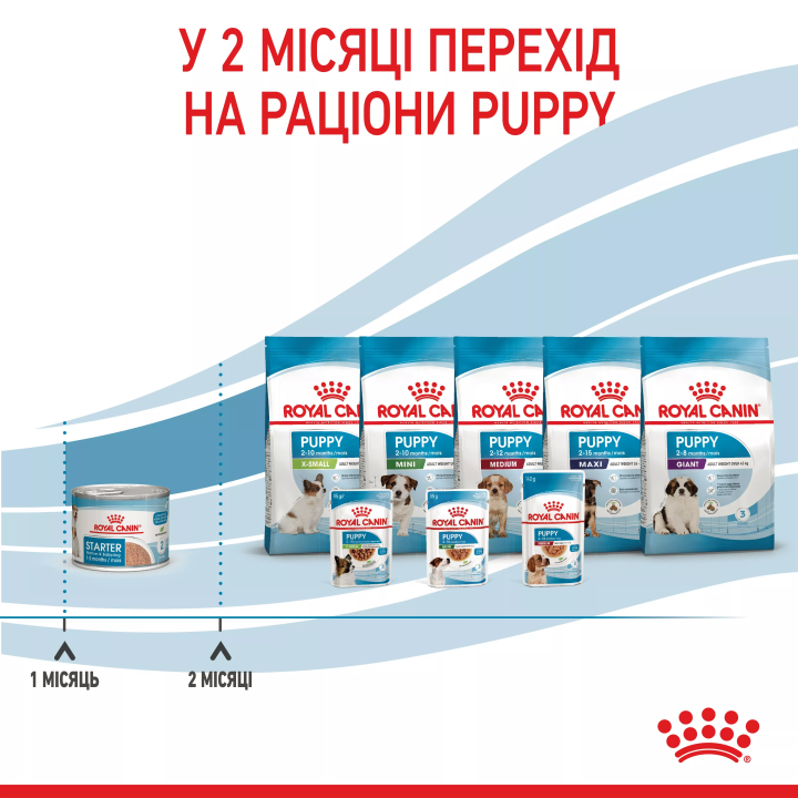 Замовити Starter Mousse 0.195 кг Royal Canin | Знижка до 23% | Відправка з Києва по Україні