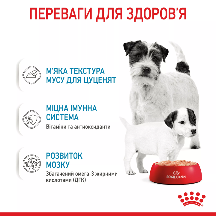 Замовити Starter Mousse 0.195 кг Royal Canin | Знижка до 23% | Відправка з Києва по Україні