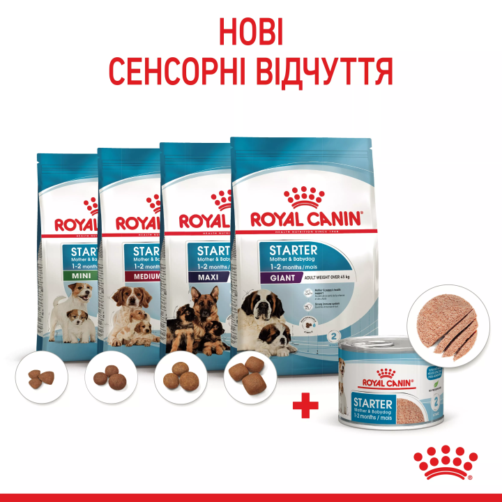 Замовити Starter Mousse 0.195 кг Royal Canin | Знижка до 23% | Відправка з Києва по Україні