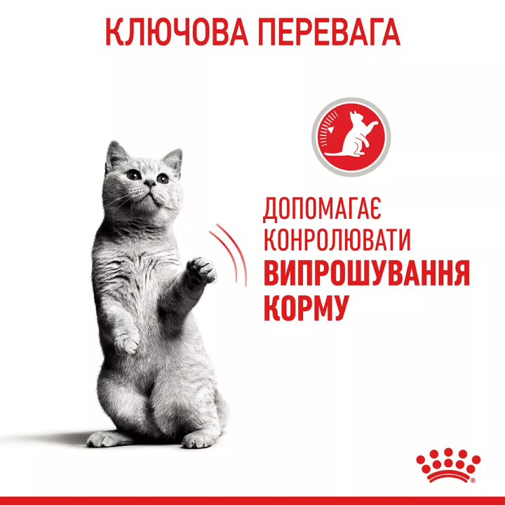 Замовити Appetite Control Care 2 кг Royal Canin | Знижка до 23% | Відправка з Києва по Україні