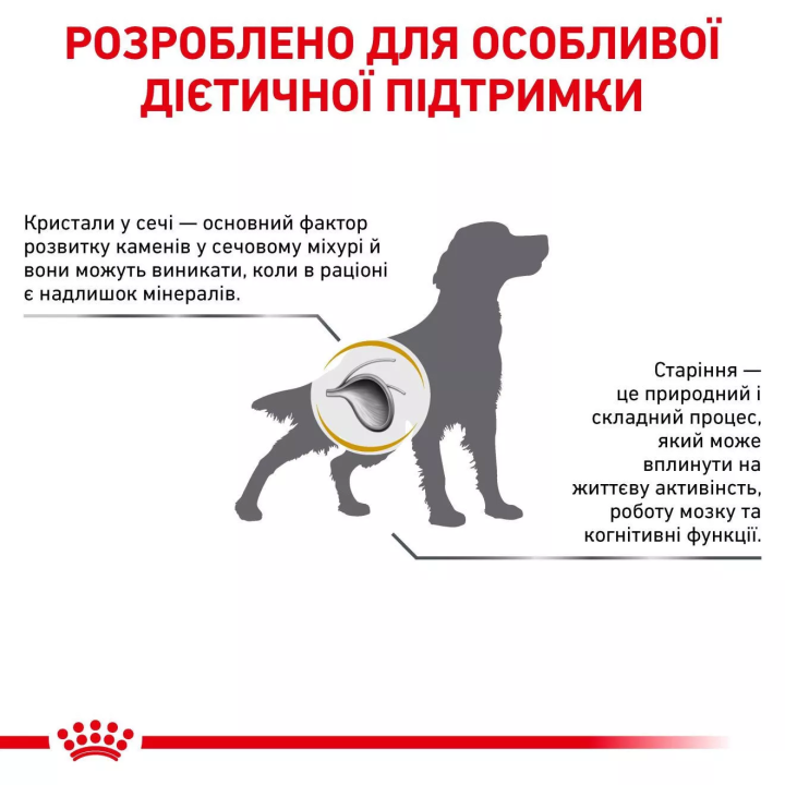 Замовити Urinary S/O 0.41 кг Royal Canin | Знижка до 23% | Відправка з Києва по Україні