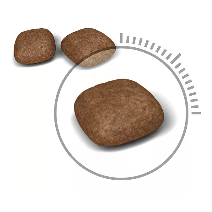 Замовити Urinary Care 10 кг Royal Canin | Знижка до 23% | Відправка з Києва по Україні