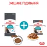 Замовити Urinary Care 2 кг Royal Canin | Знижка до 23% | Відправка з Києва по Україні