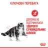 Замовити Urinary Care 2 кг Royal Canin | Знижка до 23% | Відправка з Києва по Україні