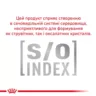 Замовити Urinary S/O Cat Pouches 0.085 кг Royal Canin | Знижка до 23% | Відправка з Києва по Україні