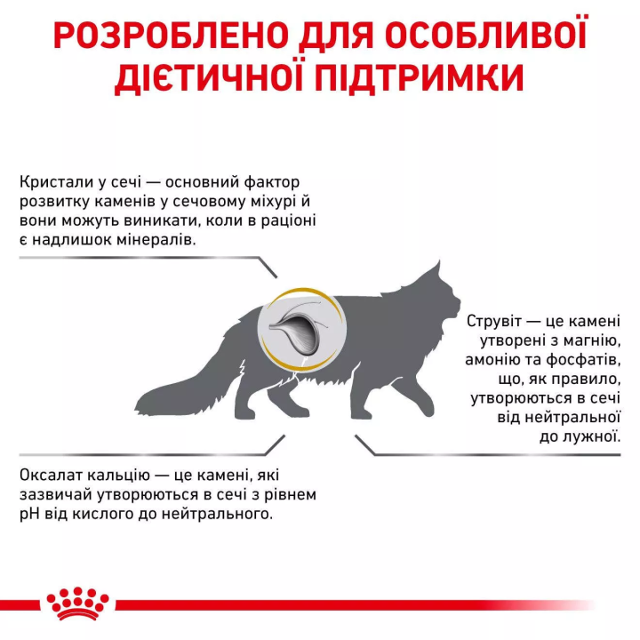 Замовити Urinary S/O Cat Pouches 0.085 кг Royal Canin | Знижка до 23% | Відправка з Києва по Україні
