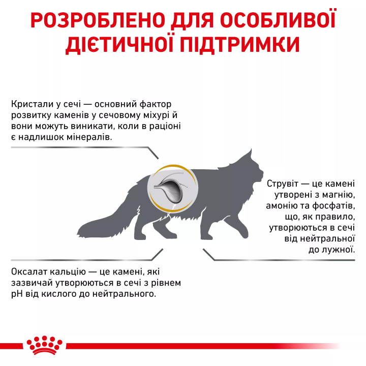 Royal Canin Urinary S/O Cat: Купити корм для здоров'я сечової системи котів