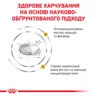 Замовити Urinary S/O Feline 3.5 кг Royal Canin | Знижка до 23% | Відправка з Києва по Україні