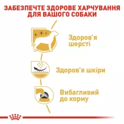 Замовити West Highland White Terrier Adult 3 кг Royal Canin | Знижка до 23% | Відправка з Києва по Україні
